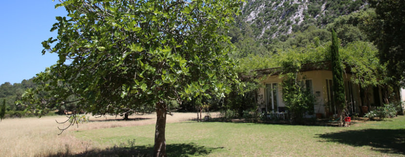 unique villas mallorca summer house for sale in Pollensa garden