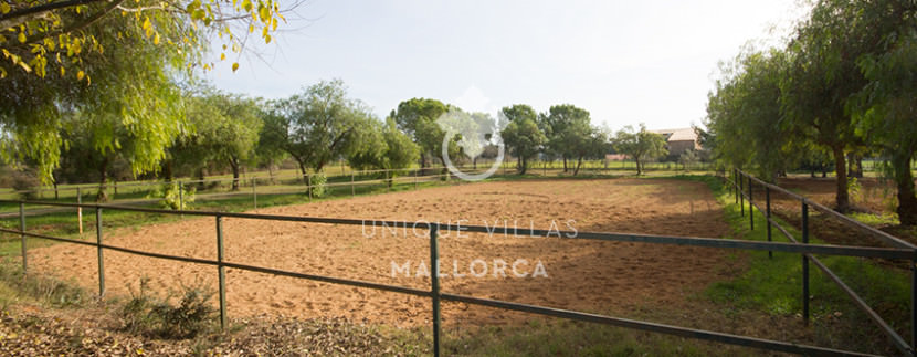 unique villas mallorca finca for sale in sencelles horse area