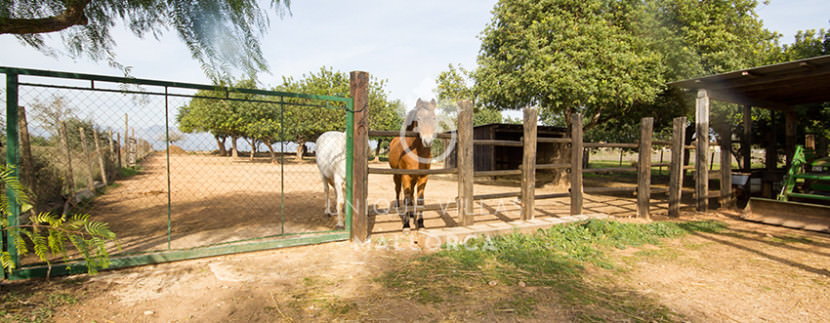unique villas mallorca finca for sale in sencelles horse stables