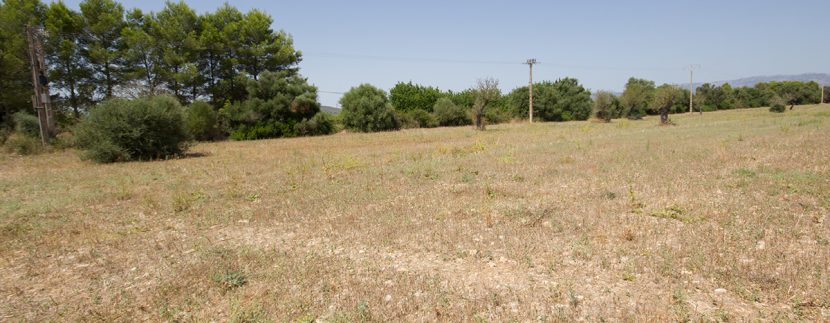 uniquevillasmallorca-plot--for-sale-in-Biniali-uvm275.1