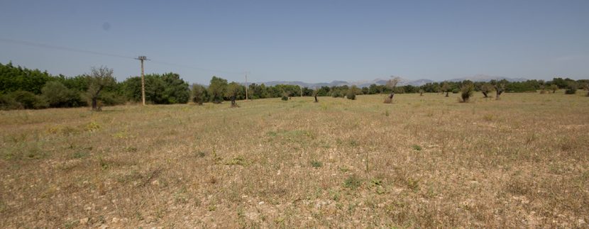 uniquevillasmallorca-plot--for-sale-in-Biniali-uvm275.2